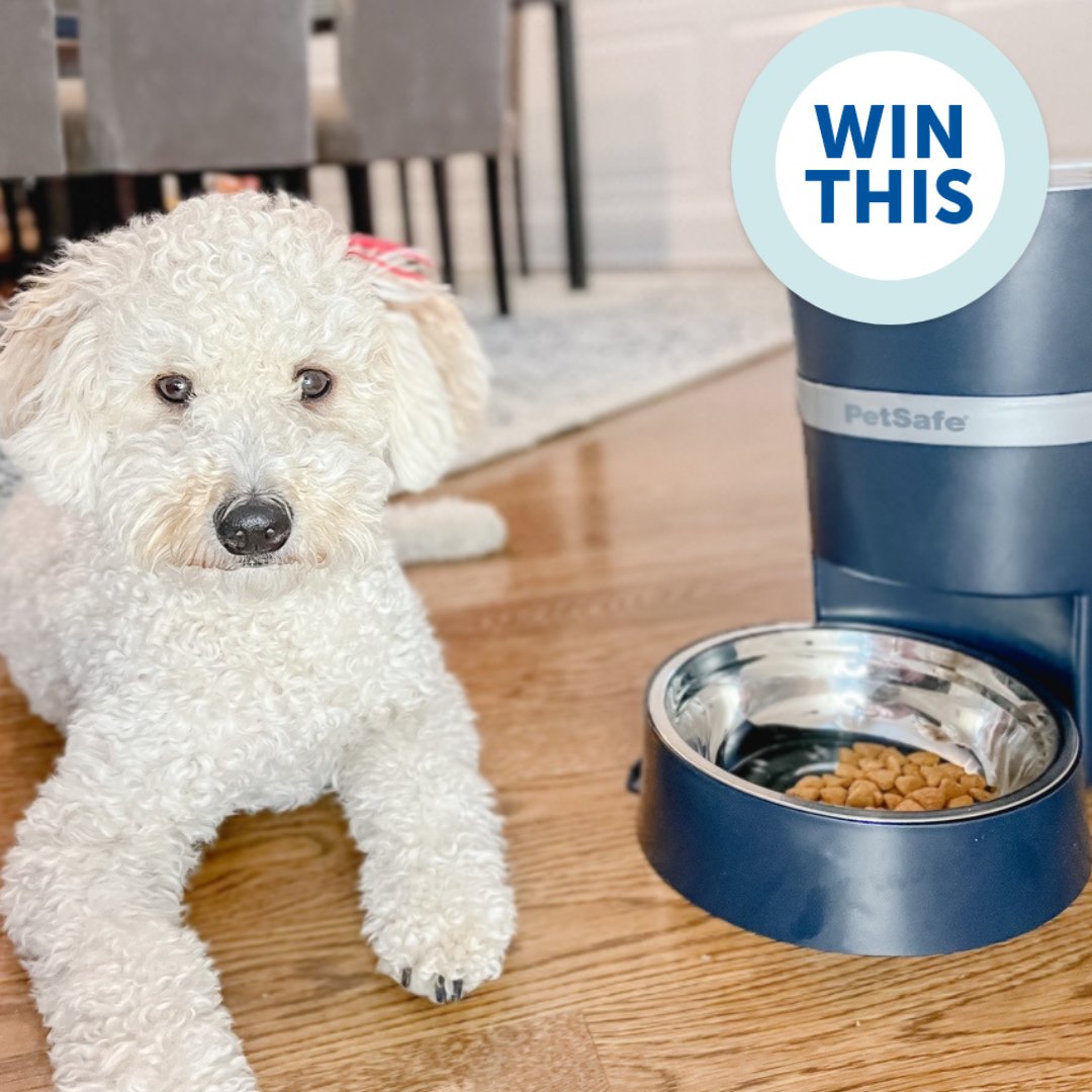 PetSafeEurope's tweet image. Giveaway 🐾 We are giving you the chance to win the Smart Feed Automatic Pet Feeder🐶 🙀
To Enter: Retweet, comment and follow @PetSafeUK