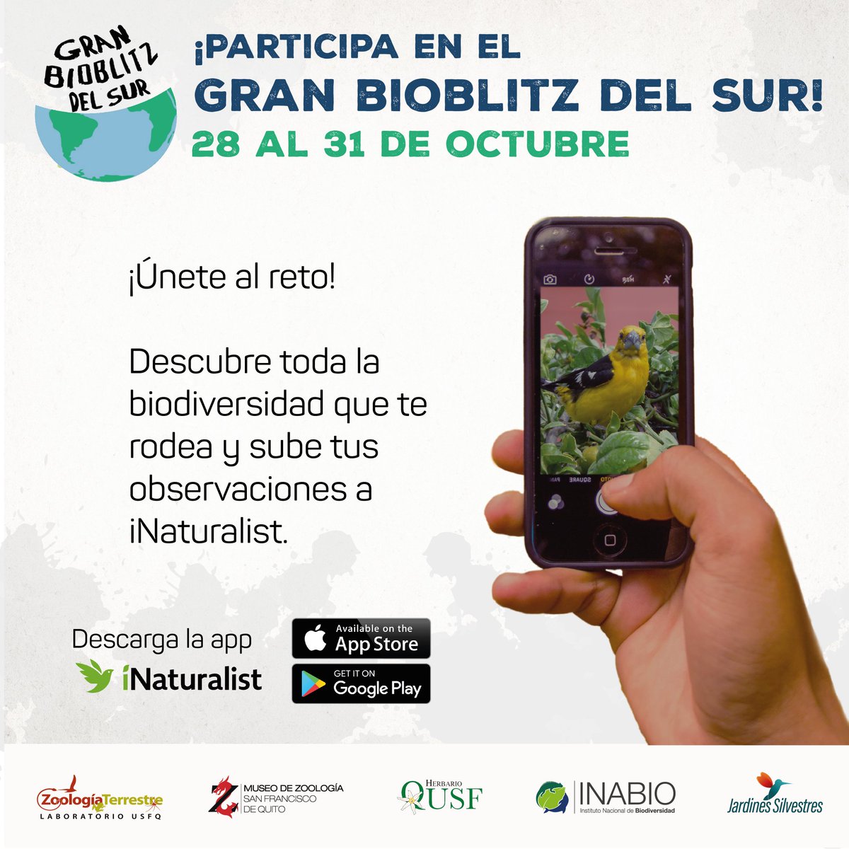 JardinesSilvestres tweet media