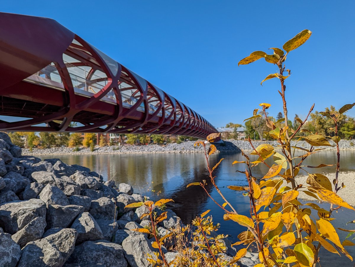 playoutsidegal's tweet photo. We've been loving the warm weather @AlbertaatNoon ! ☺ Here are some pics from this month: Mount Lipsett, Burstall Pass, Lake Minnewanka, &amp; Calgary Peace Bridge. #albertaatnoon https://t.co/zvV7P0GM30