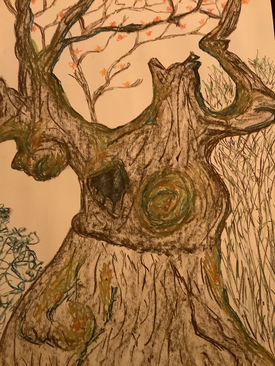 @wildlifedrawing @sugiproject Loved our online drawing class, Thank you! Just like trees we should all try and communicate more #trees