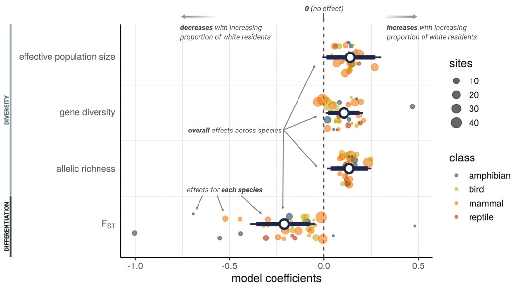 Last thesis chapter out today in @PNASNews w/@ColinGarroway: Systemic racism alters wildlife genetic diversity. Genetic diversity & population connectivity in wild vertebrates are lower in neighborhoods with majority non-white residents. Why might this be? pnas.org/doi/10.1073/pn…