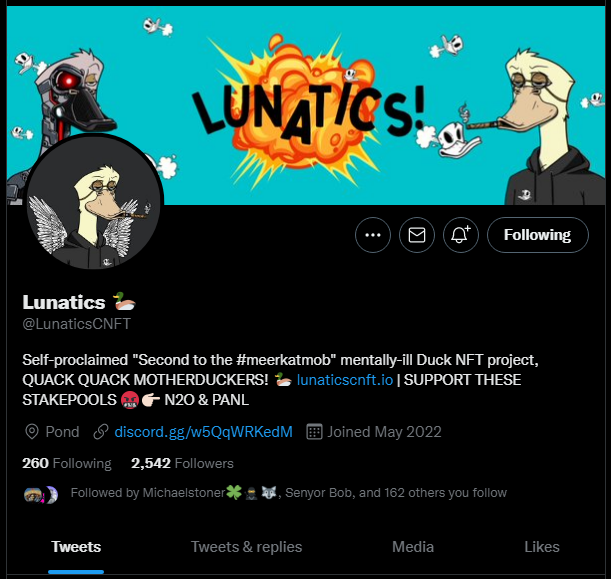 Dudewhyme's tweet photo. @AnonMeerkat03 @LunaticsCNFT Wow they love you guys! Even went so far as to change their bio and give you guys a fuck, i mean DUCK! This is DUCKING GREAT https://t.co/6hNbBRE8uw