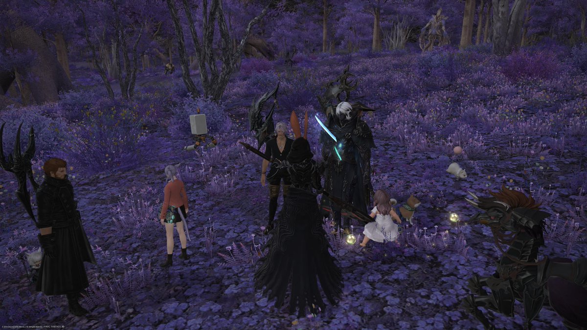 CommanderDestro's tweet image. #PS5Share, #FINALFANTASYXIVOnline