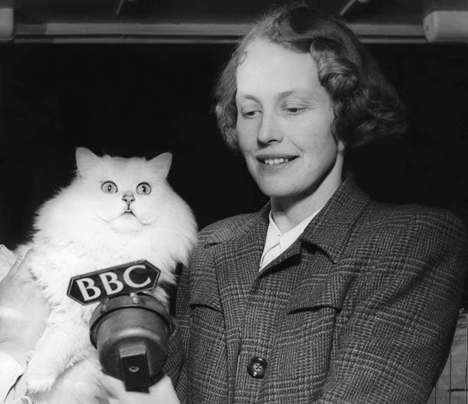 Today the @BBC celebrates #100years of #broadcasting! Audrey Russell was the BBC's 1st female #warcorrespondent in #WW2.She overcame predjucies being a female reporter & went on to become a royal correspondent.#womenshistory #BBC100 #femalepioneers #Centenary #bbcnews #journalist