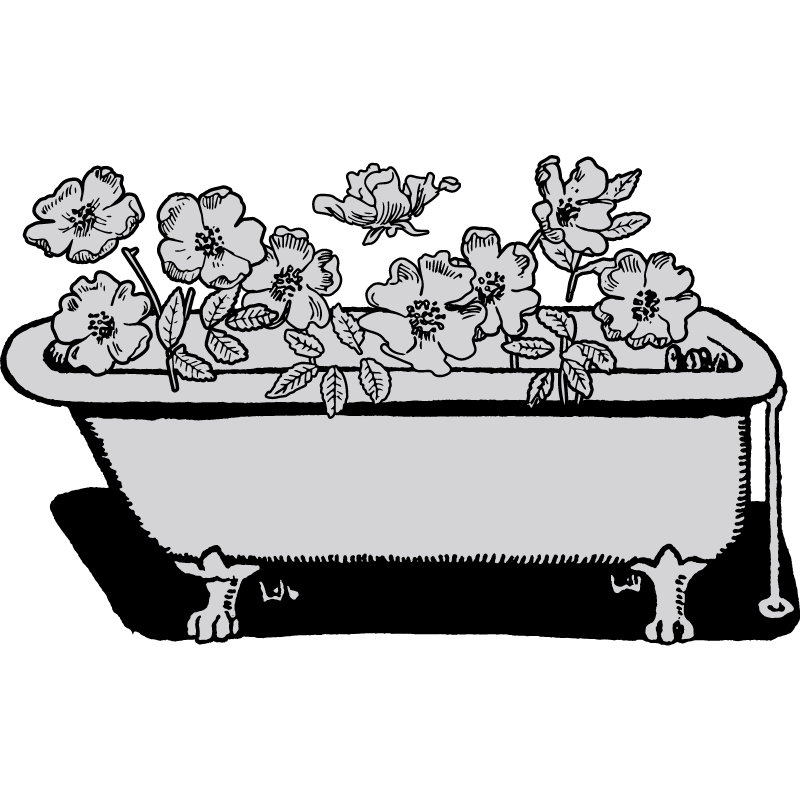 laperocodery's tweet photo. Bloom Water came to us to build an e-commerce site to sell luxury bath products. Working from the ground up, incorporating new branding, and catering to a wholesale audience was a unique opportunity for our whole team!
https://t.co/dZERKpqDHG https://t.co/hSXa260XEL