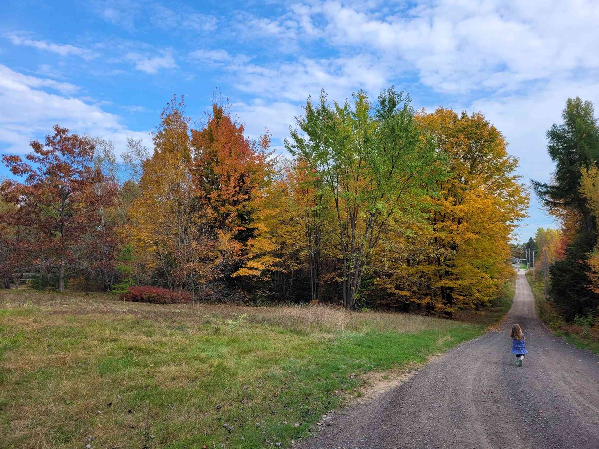 Kheiroplays's tweet photo. Another great autumn day. 

#sunnyday #AutumnVibes #fall #Autumn #Season #colorful #leaves #trees #naturelovers #Outdoors #Nature #Canada #Quebec https://t.co/MBC4hTMan6