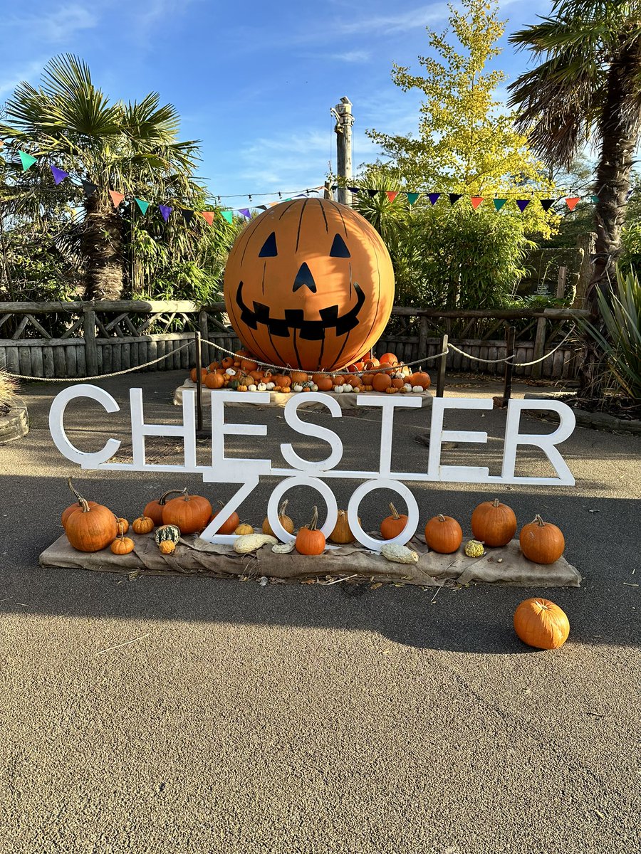 NhsEsso's tweet photo. Determined to make the most of the week off, havenโt been to @chesterzoo for ages but had a great time #daddyanddaughtertime https://t.co/honSfF86ld