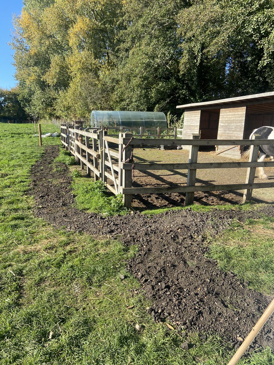 Brad Tuckfield tweet media