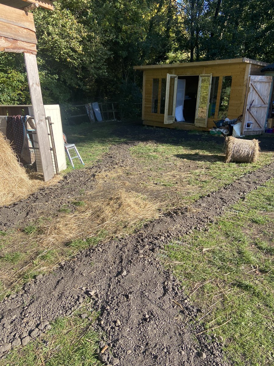 Brad Tuckfield tweet media