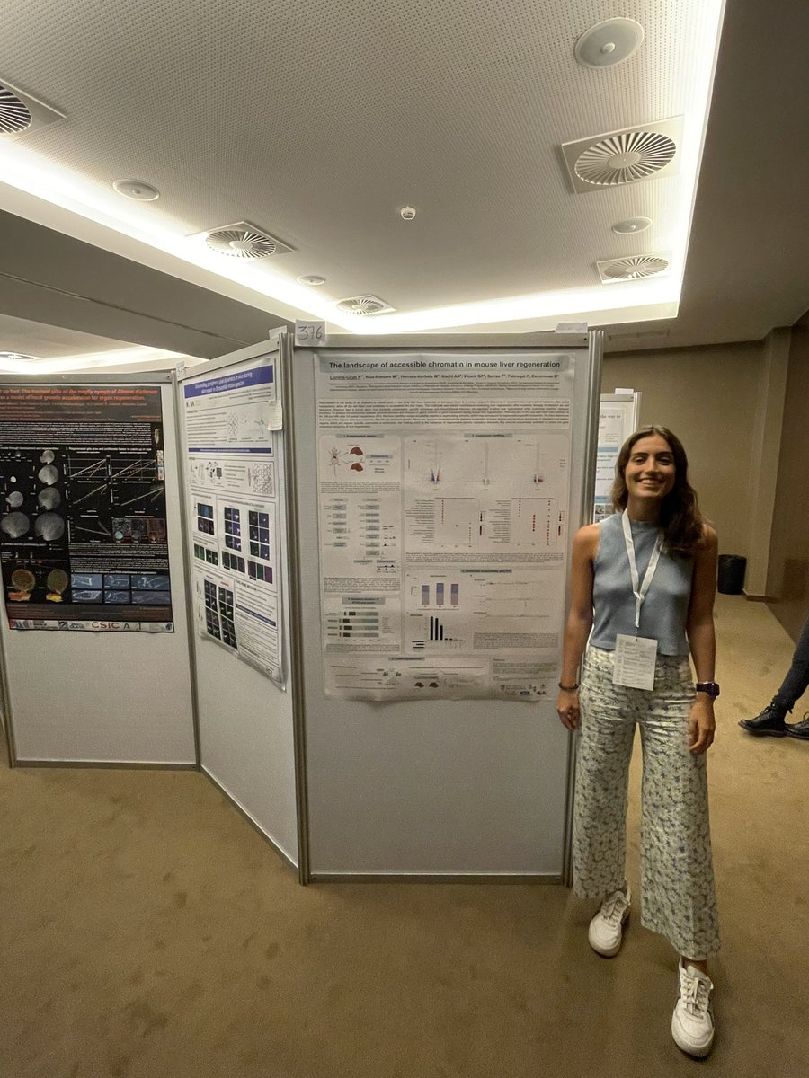 DevBioGenomics_UB (@devbiogenomics) on Twitter photo Yesterday, our PhD student José Esteban presented his poster at <a href="/IntSocDevBiol/">International Society of Developmental Biology</a> congress and today it is the turn for another PhD student in the lab, Palmira Llorens to present her work! <a href="/GeneticsUB/">GeneticsUB</a> Yesterday, our PhD student José Esteban presented his poster at <a href="/IntSocDevBiol/">International Society of Developmental Biology</a> congress and today it is the turn for another PhD student in the lab, Palmira Llorens to present her work! <a href="/GeneticsUB/">GeneticsUB</a>