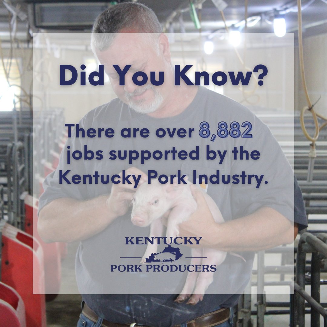 In 2021, the Kentucky Pork Industry supported a total of 8,882 jobs and over $459.77M in personal income. 

Kentucky hog farms and pork processors directly employed 4,351 workers and paid $220.589 million in total wages.

Talk about bringing home the bacon! 🥓

📸: Eric Heard