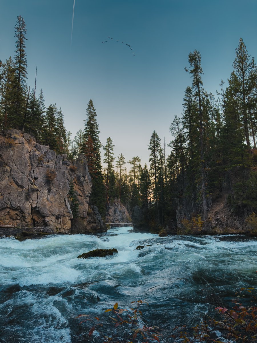 Anastocio's tweet photo. Still amazed at how good the new iPhone 14 pro camera is. 

#shotoniphone #iphone14pro #centraloregon #photograghy #fallvibes https://t.co/UAFRXKig80
