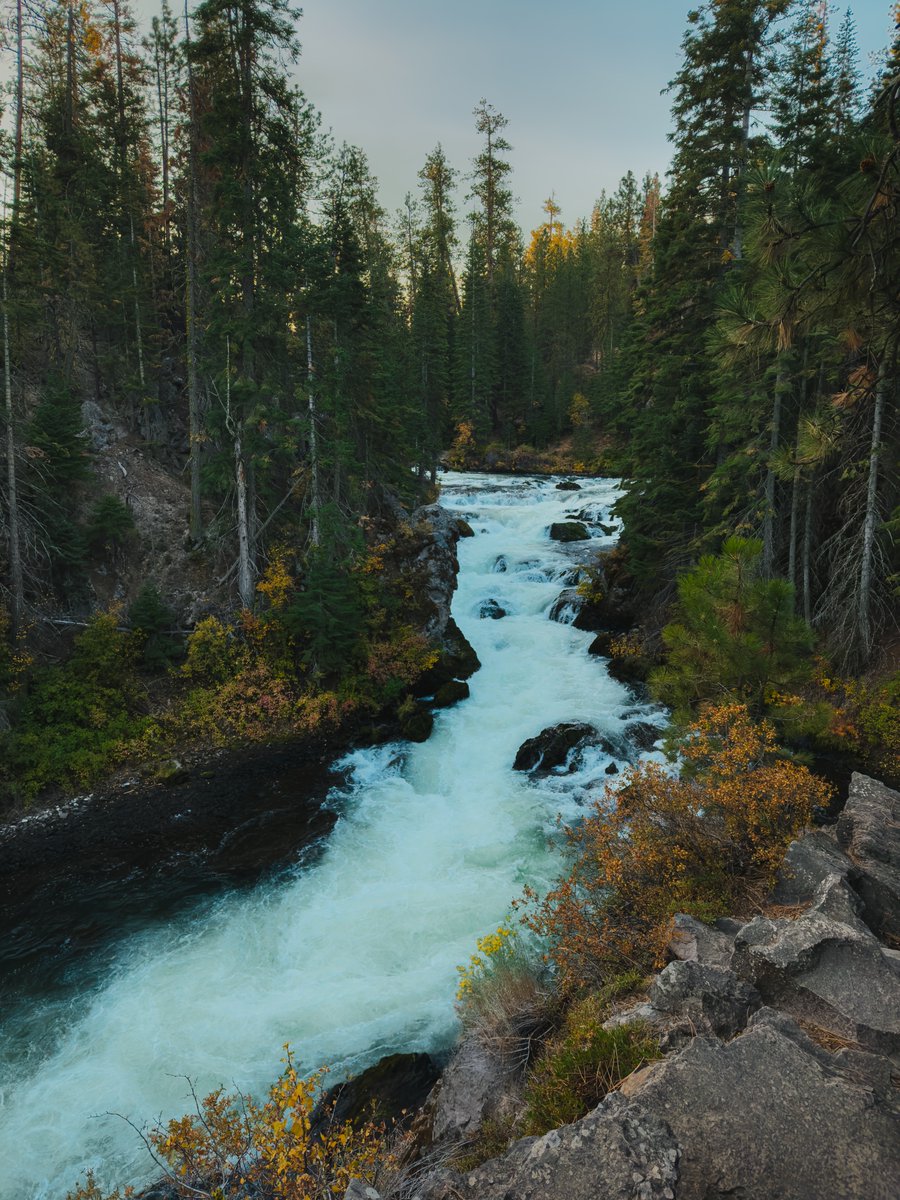 Anastocio's tweet photo. Still amazed at how good the new iPhone 14 pro camera is. 

#shotoniphone #iphone14pro #centraloregon #photograghy #fallvibes https://t.co/UAFRXKig80