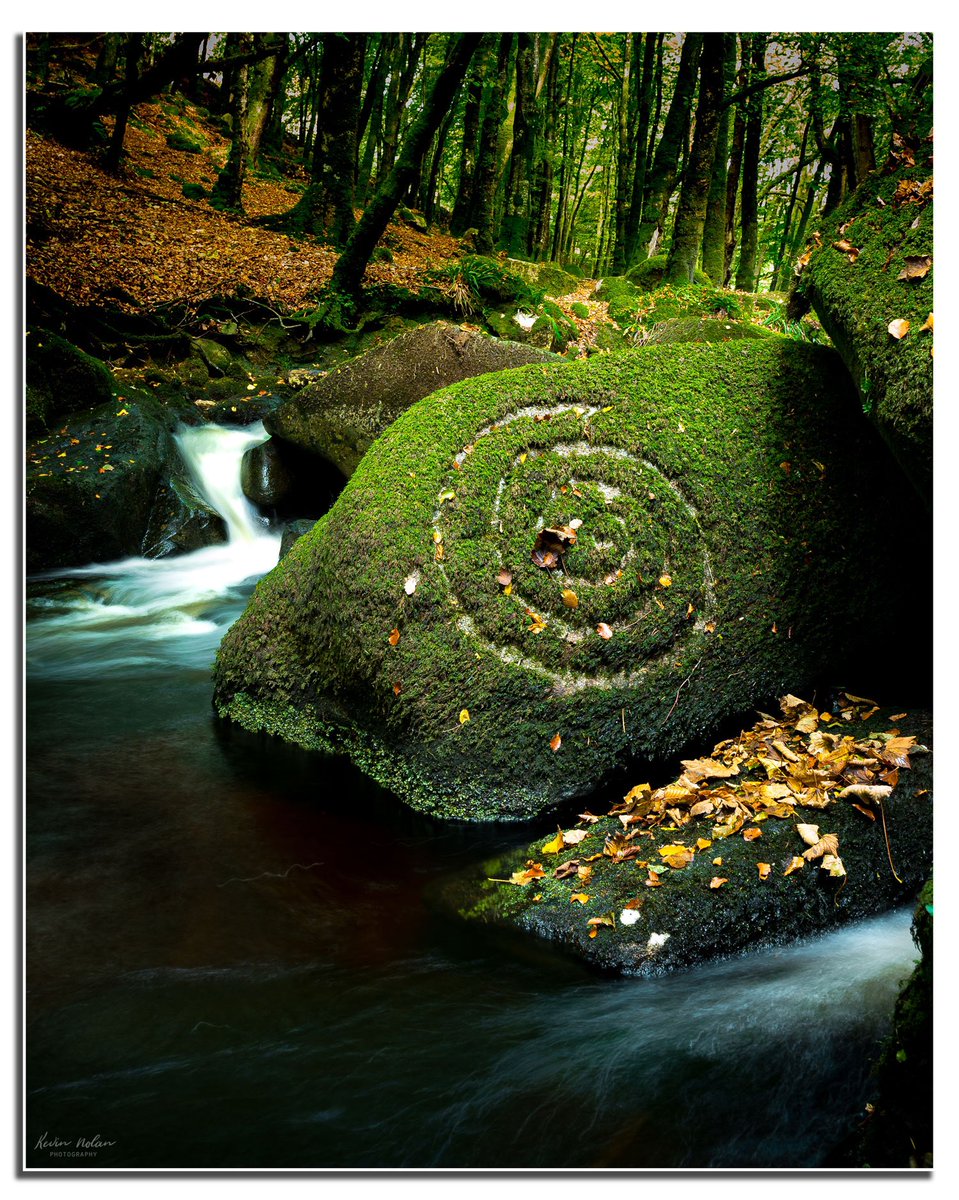 Kevinnolanphoto (@kevinnolanphot1) on Twitter photo Ireland you beauty
#home #wicklow #daily #raw #autumn <a href="/IrishMirror/">Irish Daily Mirror</a> <a href="/irishdaily_/">Irish Daily</a> <a href="/ThePhotoHour/">#ThePhotoHour</a> <a href="/the_full_irish_/">The Full Irish 🇮🇪</a> <a href="/WicklowHour/">WicklowHour</a> <a href="/discoverirl/">Discover Ireland</a> <a href="/DiscoverIreland/">Discover Ireland</a> <a href="/NatGeoPhotos/">Nat Geo Photography</a> <a href="/UKNikon/">Nikon UK & Ireland</a> Ireland you beauty
#home #wicklow #daily #raw #autumn <a href="/IrishMirror/">Irish Daily Mirror</a> <a href="/irishdaily_/">Irish Daily</a> <a href="/ThePhotoHour/">#ThePhotoHour</a> <a href="/the_full_irish_/">The Full Irish 🇮🇪</a> <a href="/WicklowHour/">WicklowHour</a> <a href="/discoverirl/">Discover Ireland</a> <a href="/DiscoverIreland/">Discover Ireland</a> <a href="/NatGeoPhotos/">Nat Geo Photography</a> <a href="/UKNikon/">Nikon UK & Ireland</a>