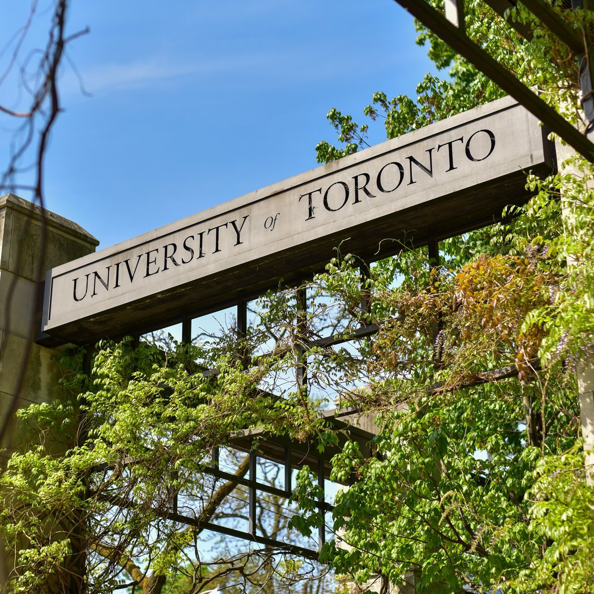 🚨Our turn for "come be my colleague!"  2 openings in broad area of Sustainable Chemical Engineering.  Please RT! 

I have loved it here, in terms of the dept (very supportive), UofT, Toronto, and Canada. 

US folks, I'd be happy to chat.

jobs.utoronto.ca/job/Toronto-As…