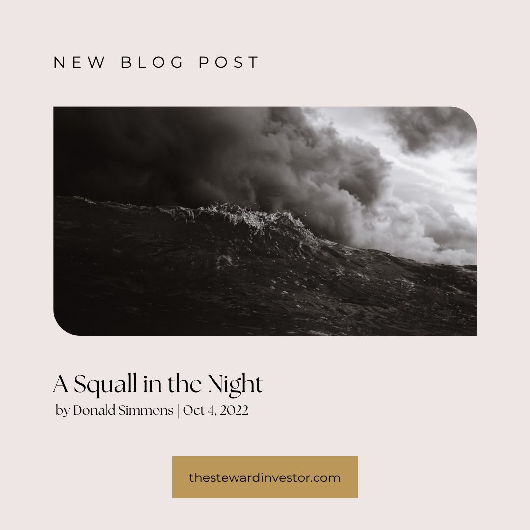 CHECK OUT THIS BLOG 
A Squall in the Night
“The men were amazed and asked, ‘What kind of man is this? Even the winds and the waves obey him!’” (Matthew 8:27)
thestewardinvestor.com/a-squall-in-th…
Blog by Donald Simmons