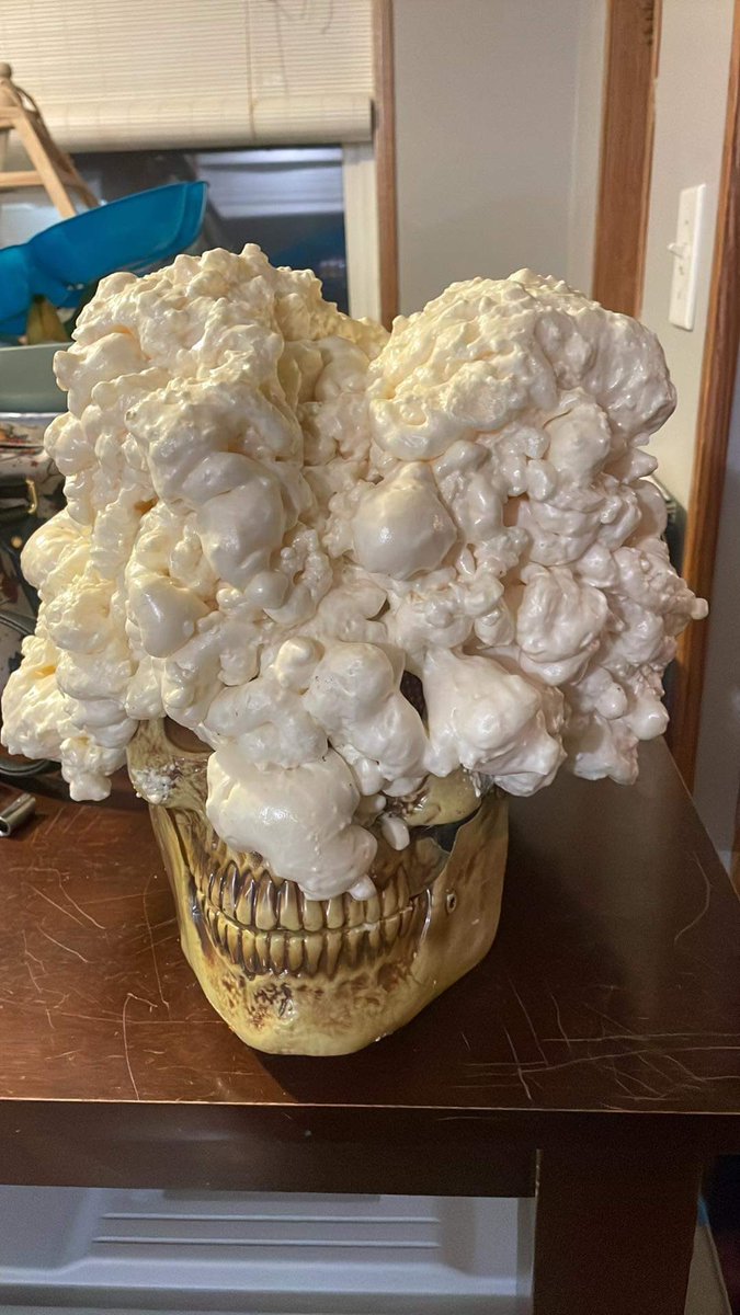 EricButerman's tweet photo. Attempting to make my own clicker mask from The Last of Us. Going to paint it this week and see how it turns out https://t.co/p5yYAYXKzX