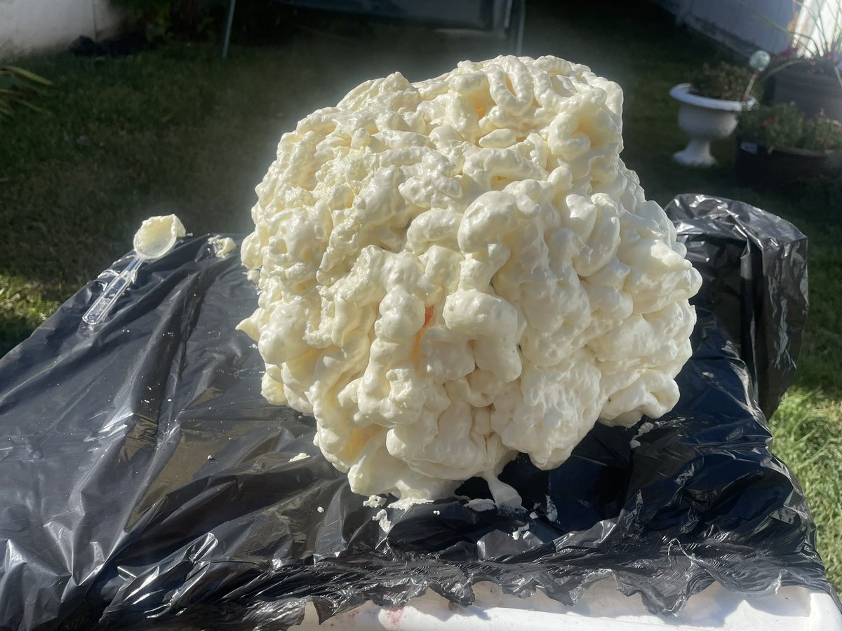 EricButerman's tweet photo. Attempting to make my own clicker mask from The Last of Us. Going to paint it this week and see how it turns out https://t.co/p5yYAYXKzX