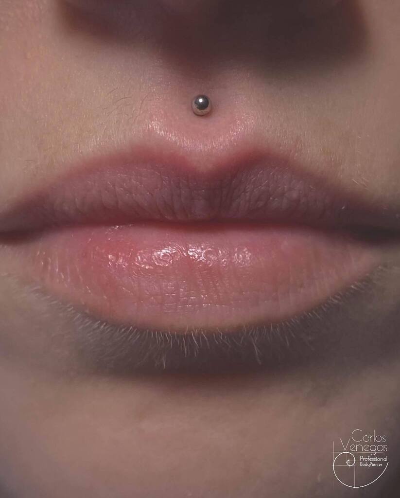 Derma_tattoo's tweet photo. Philtrum piercing 
Realizado por nuestro artista @carlos_venegass con joya de titanio en @dermagraphictattoo 
.
.
.
.
.
Citas disponibles! consultas por MD o 
-✉️ Dermaink@hotmail.com
-☎️ (+34) 881925826
-📱 (+34) 651146695
-🏢 Plaza de Zalaeta 2, local 4
15002, A Coruña 📍
.
.… https://t.co/0TiqaeS49t