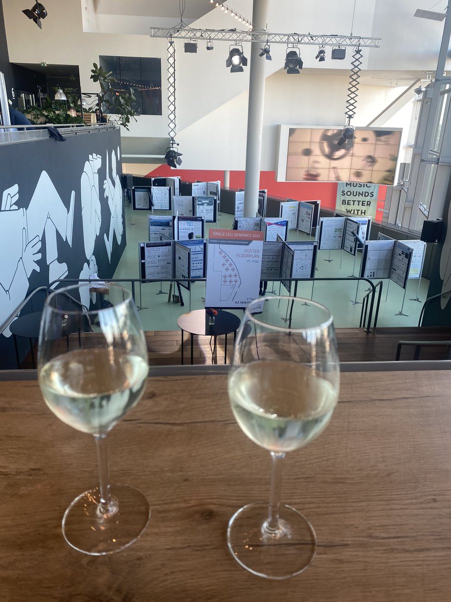 Sarah Collins, PhD (@sarah_c96) on Twitter photo Ready for day 2 of posters at #SCG2022 in Utrecht, but first refreshments with <a href="/sarahe145/">Sarah Ennis</a> Ready for day 2 of posters at #SCG2022 in Utrecht, but first refreshments with <a href="/sarahe145/">Sarah Ennis</a>