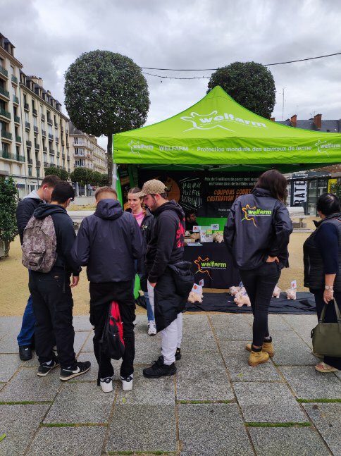 Welfarm's tweet photo. 🙏🏻 Merci #Rennes et merci #Quimper pour votre accueil !

Encore et encore, nous constatons lors de nos échanges à quel point l’arrêt de la castration des porcelets est une demande forte des citoyens et des citoyennes.
Faisons bouger les lignes !

#StopCastration 🐷💢 https://t.co/rv4i5HGLbc