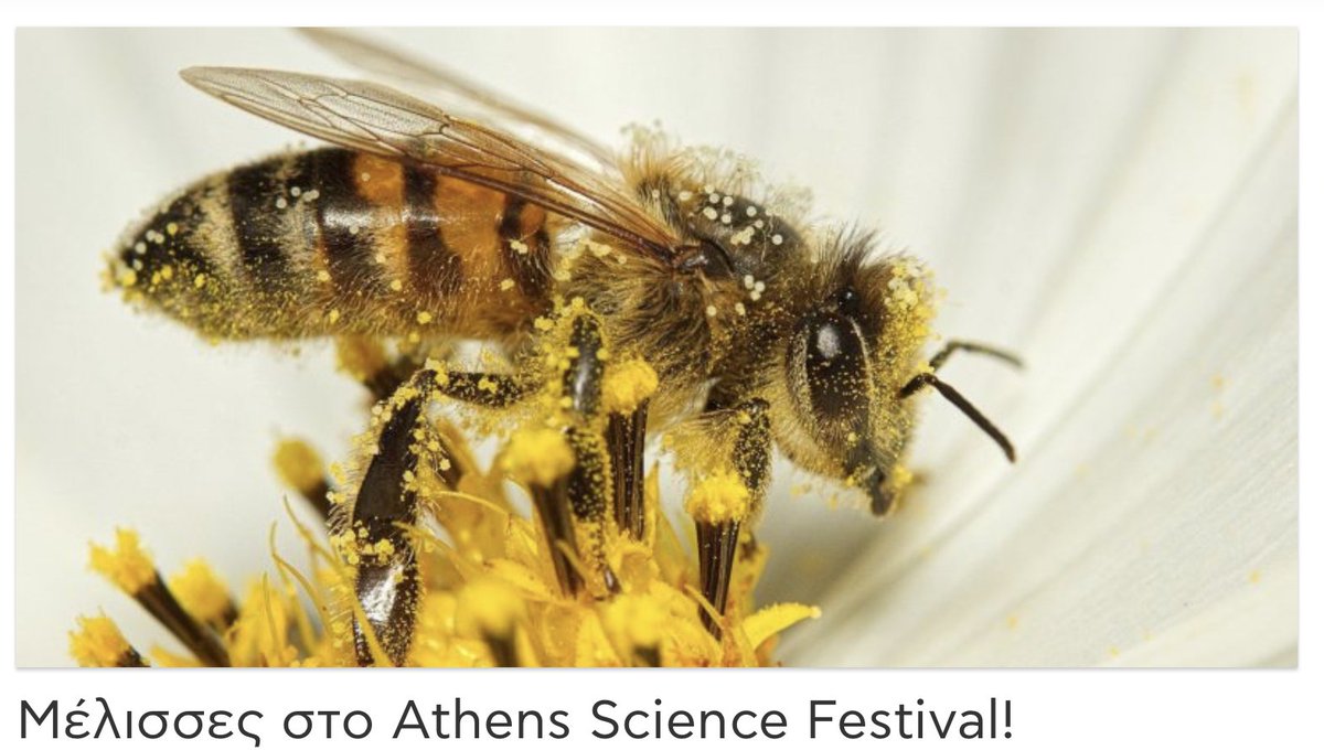 SolennPatalano's tweet photo. Our lab will be at the Athens science festival in Technopolis next Saturday! 
@BSRC_Fleming @AthensSciFest
https://t.co/qr7a5lu8XZ https://t.co/ml6CMTkiJQ