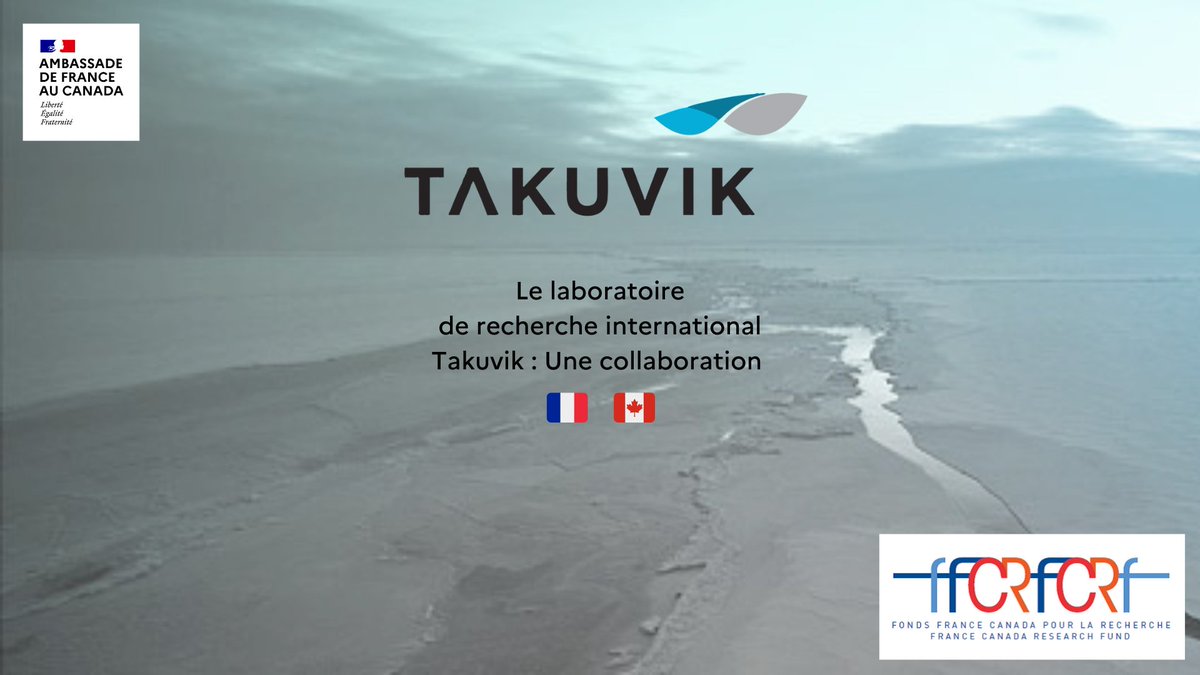 franceaucanada's tweet photo. 📽️Découvrez le témoignage complet de Michel Babin, un des deux lauréats du Fonds France-Canada pour la Recherche de 2002 : https://t.co/ZRkKROE1rB https://t.co/jVatfxuicc