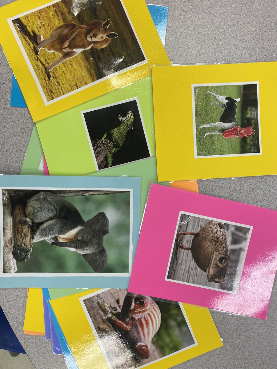 _Mrs_Madden's tweet photo. Inspired by ‘The Notebook of Doom’, students renamed some interesting animals and then created a monster of their own!  @JWBoichPS https://t.co/ajjJYhsMQh