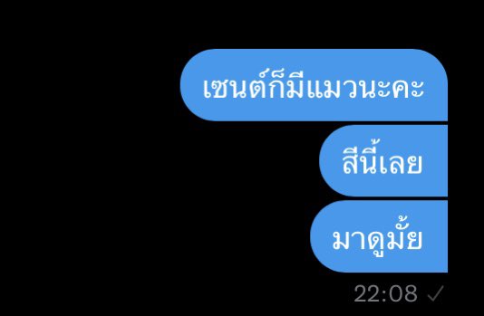 senmxm's tweet photo. ไอ้มุกไปดูแมวยังมีคนเล่นอีกหรอวะ https://t.co/baVDtgoVwG