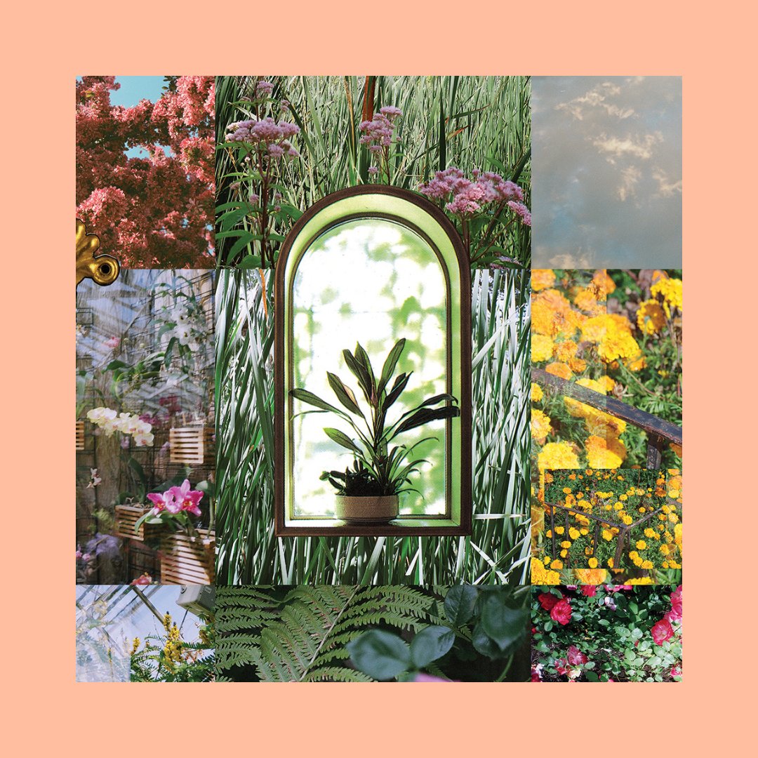 Assembly Park tweet media