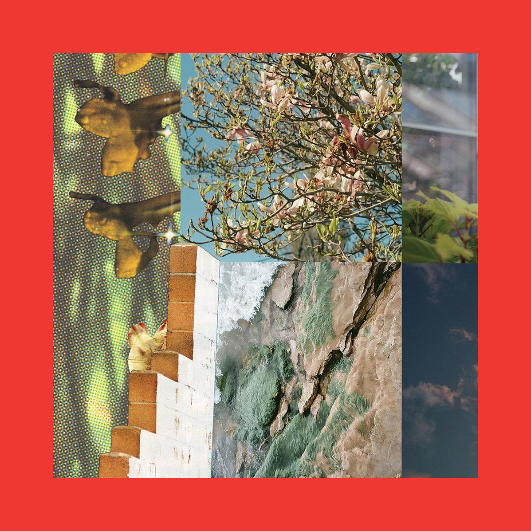 Assembly Park tweet media