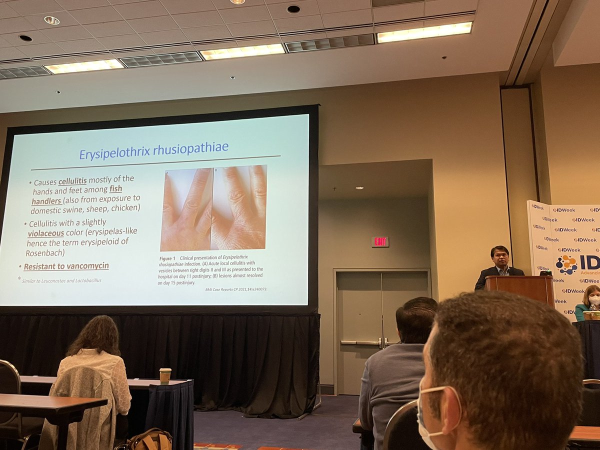 Takahiro Matsuo (Taka), MD (@takamatsuo_id) on Twitter photo Bacterial syndrome pearls by Dr. Escota!
#IDWeek2022 #Boardreview #IDMedEd #Clinicalpearls @MDdreamchaser <a href="/WuidQ/">WuidQ: Washington University ID Questions</a> Bacterial syndrome pearls by Dr. Escota!
#IDWeek2022 #Boardreview #IDMedEd #Clinicalpearls @MDdreamchaser <a href="/WuidQ/">WuidQ: Washington University ID Questions</a>