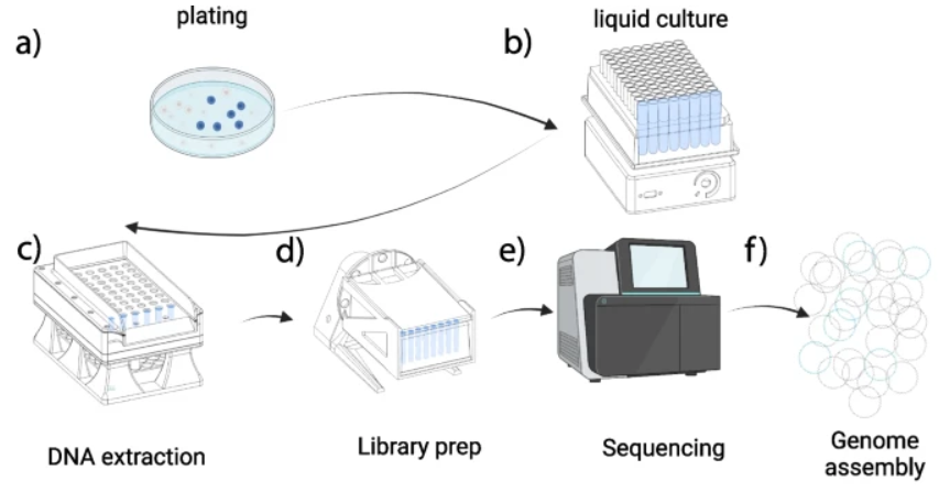 Genome Biology (@genomebiology) on Twitter photo Sanders, Moeller & co present an end-to-end workflow for sequencing gut microbiome, involving high-throughput culturing of bacteria in open-source, 3-D printed labware, and library prep using Opentrons robotics. Used for a comparison of chimp and bonobo. genomebiology.biomedcentral.com/articles/10.11… Sanders, Moeller & co present an end-to-end workflow for sequencing gut microbiome, involving high-throughput culturing of bacteria in open-source, 3-D printed labware, and library prep using Opentrons robotics. Used for a comparison of chimp and bonobo. genomebiology.biomedcentral.com/articles/10.11…