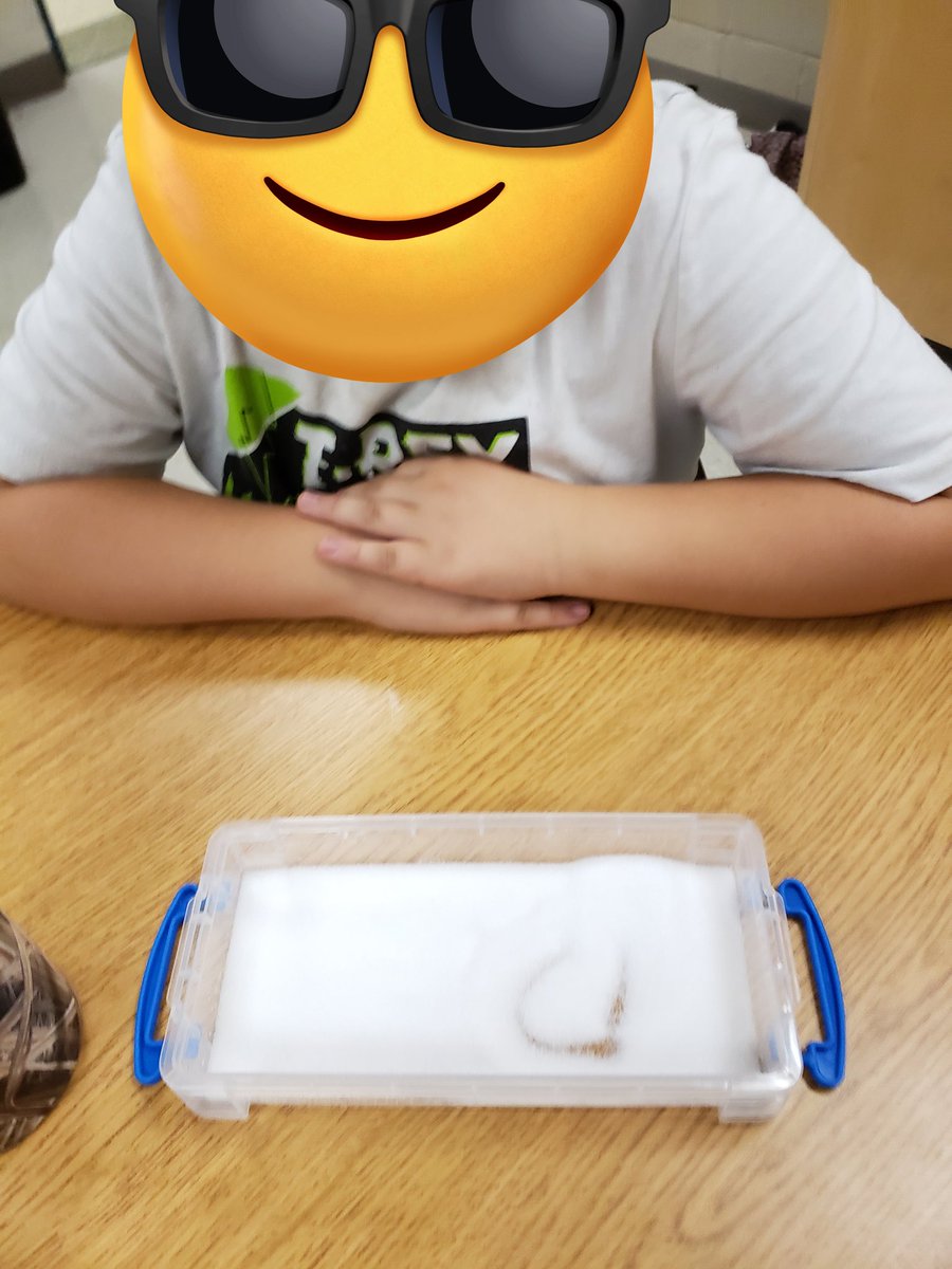 BrookeHaggith's tweet photo. Students enjoyed engaging in "write the sound" using our multi-sensory salt trays during our small- group phonics intervention lessons. @RoyalRoadsPS @MclayJulie @JulieRuberto @JeffBruce11 https://t.co/SSTWz69N2z