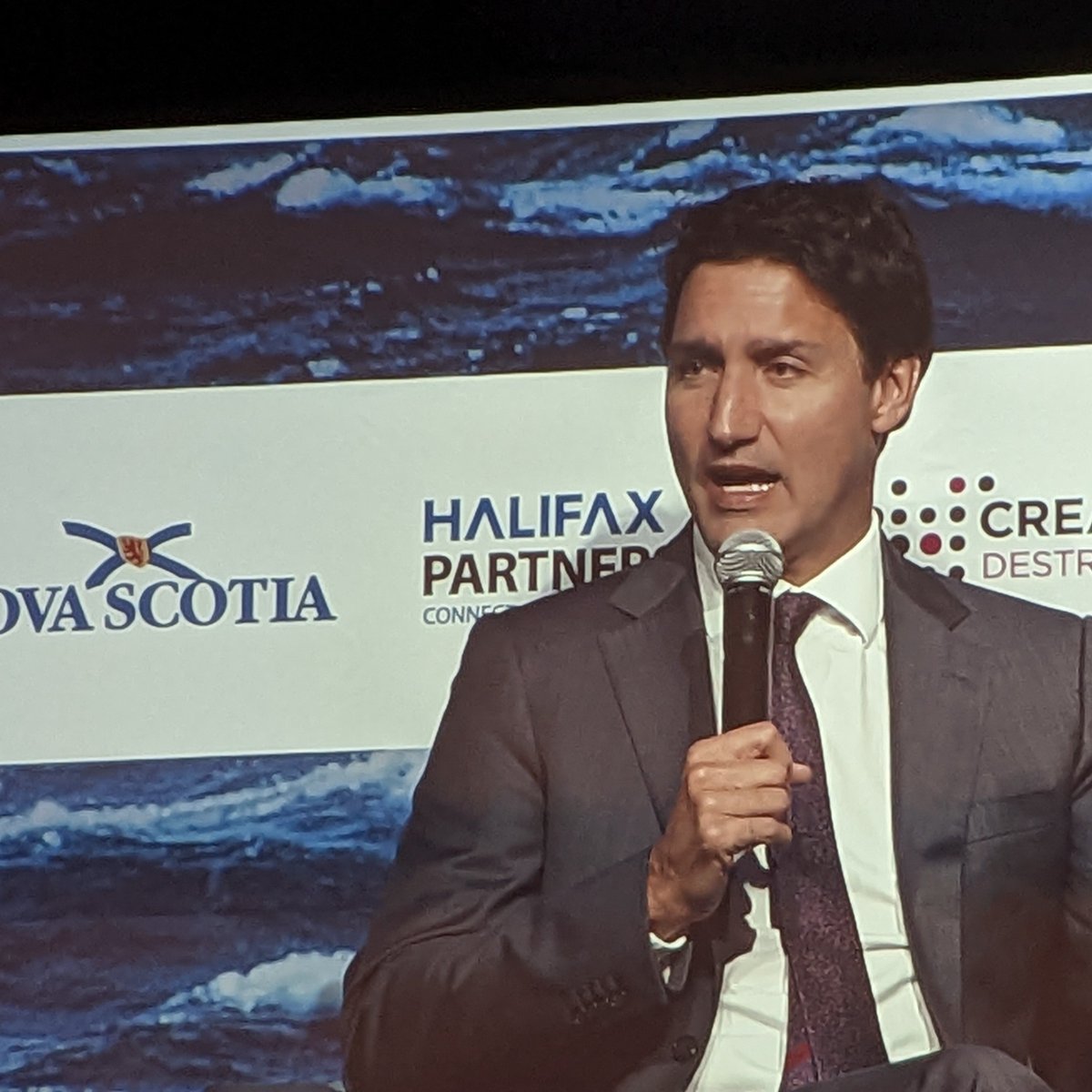 ReefLife911's tweet photo. IntelliReefs #ocean #science #innovation team in #halifax discussing recent #kelp success on our #oceanite modules deployed in #Canadian waters https://t.co/DJGNX0vWM2