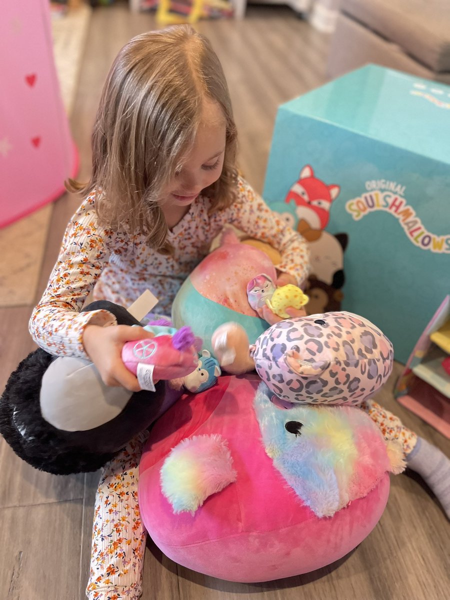 MattBGoldberg's tweet photo. The past few years have been rough on my family, the latest being my 4-year old niece being diagnosed w/ a brain tumor. My heart’s full after @JeremyCom &amp; the @squishmallows crew sent her a very generous care package w/ a heartfelt note.Words can’t describe how thankful we are.❤️ https://t.co/x3p8UFTsqp