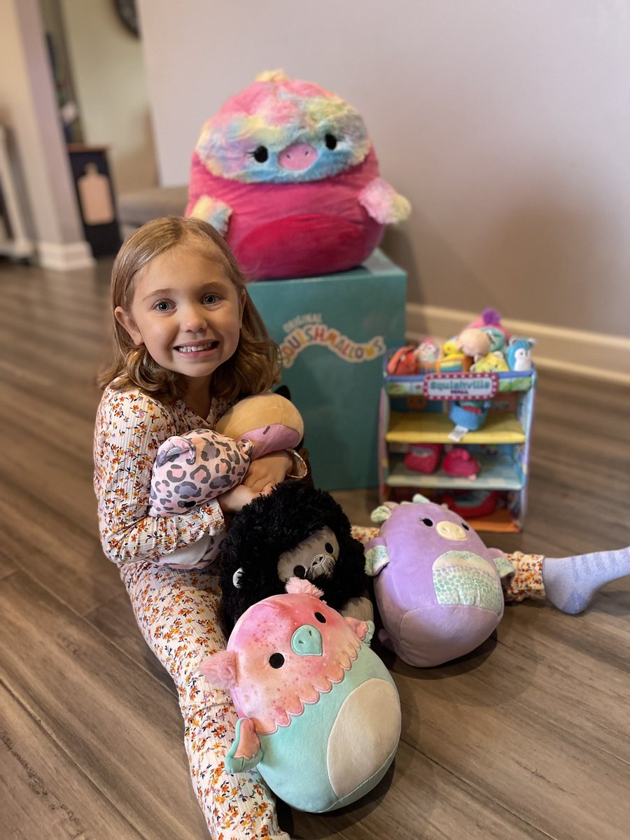 MattBGoldberg's tweet photo. The past few years have been rough on my family, the latest being my 4-year old niece being diagnosed w/ a brain tumor. My heart’s full after @JeremyCom &amp; the @squishmallows crew sent her a very generous care package w/ a heartfelt note.Words can’t describe how thankful we are.❤️ https://t.co/x3p8UFTsqp