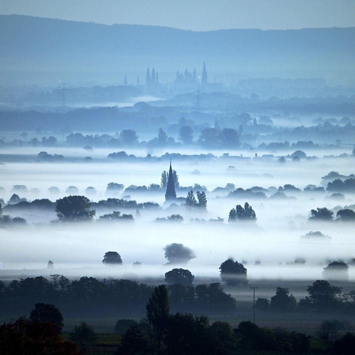 Yesterday was a morning I had been hoping for for a while: Autumnal morning haze in the Rhine valley! While wandering around with the telephoto lens, I was surprised to find Speyer with its church towers and the cathedral on the horizon!