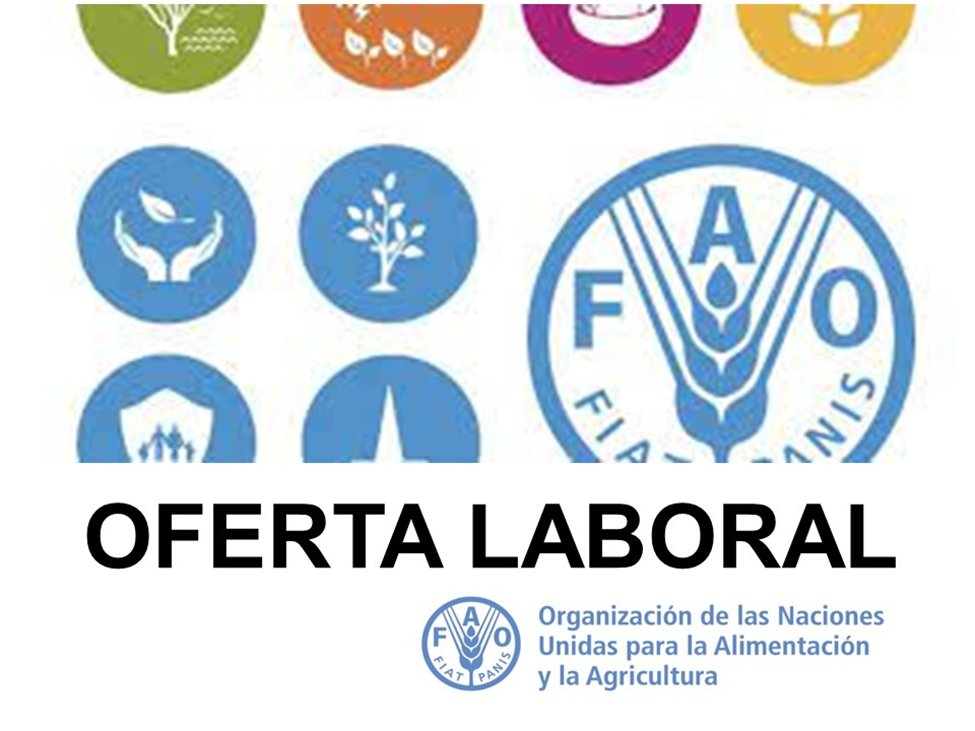 📢EMPLEO📢 🚨EMPLEO🚨
¿Quieres pertenecer a nuestro equipo de trabajo? 
#FAOAFG busca un especialista en Comunicación Digital, fecha limite hasta el 0️⃣7️⃣/nov/2022, 23:59:00
Aplica en este enlace 👇
jobs.fao.org/careersection/…