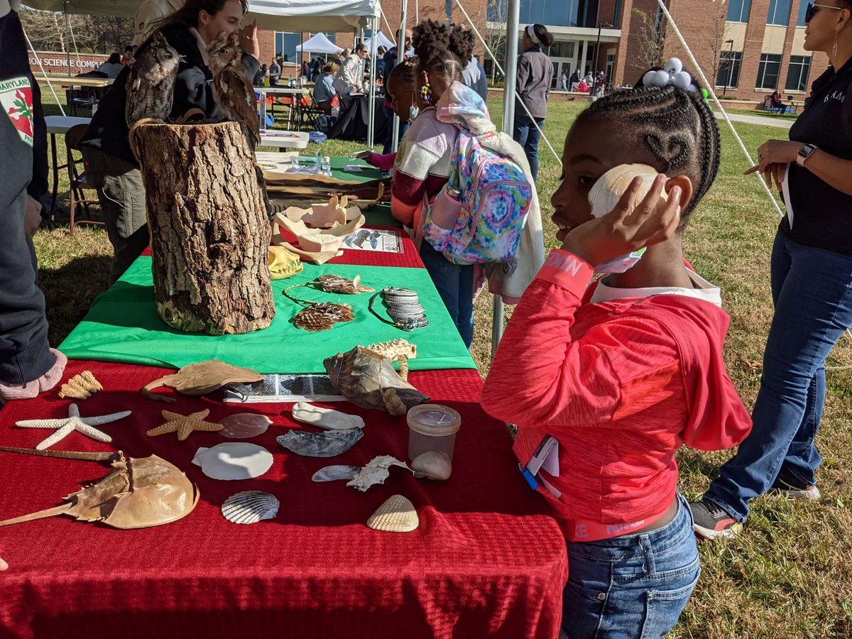 Campus and community, all are welcome to attend #umesextension's #4H STEM Festival, Nov. 12, from 10-2 at #UMES. No registration required! FREE STEM activities for science-minded youth! Robotics, 3D printing, marine sciences, aeronautics, designing a crabbing boat, and more!