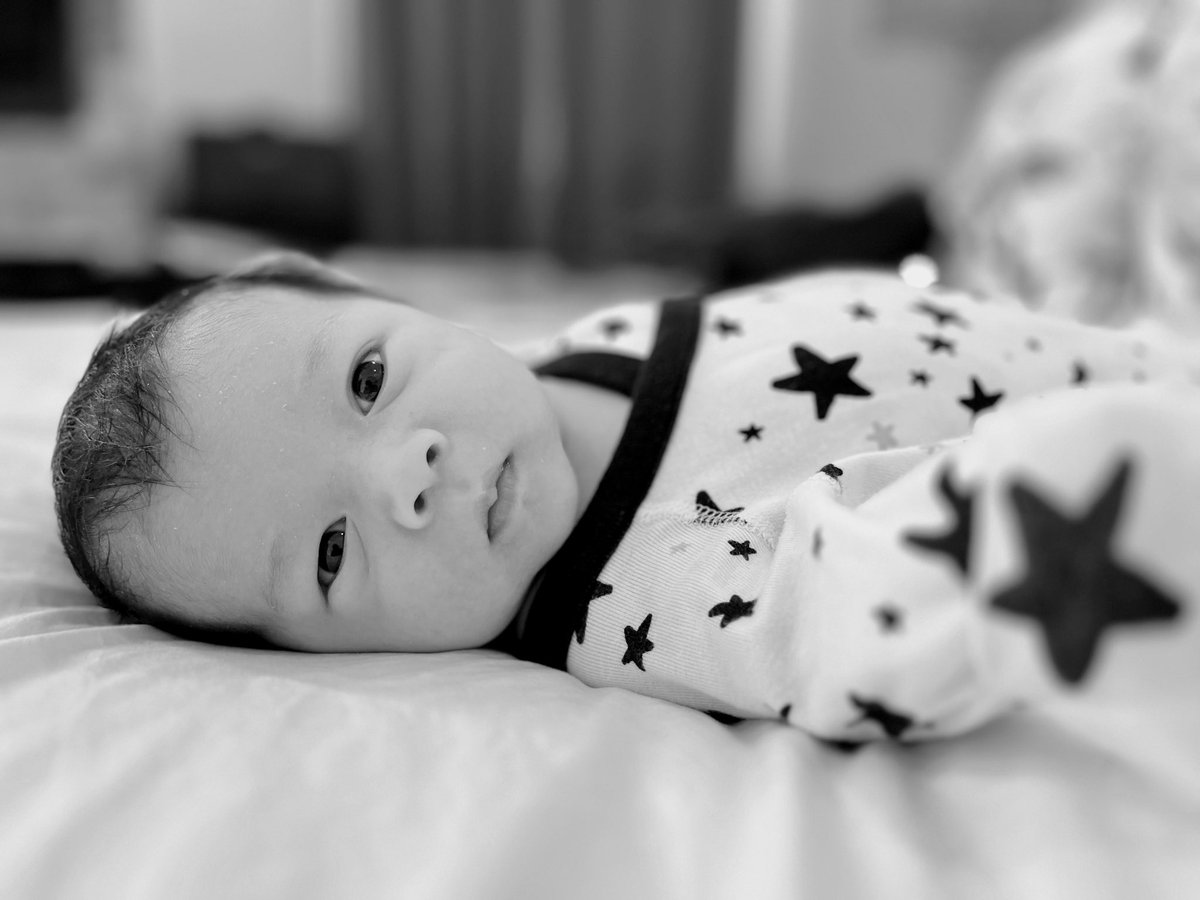 Peter Liu ⚡️ tweet media