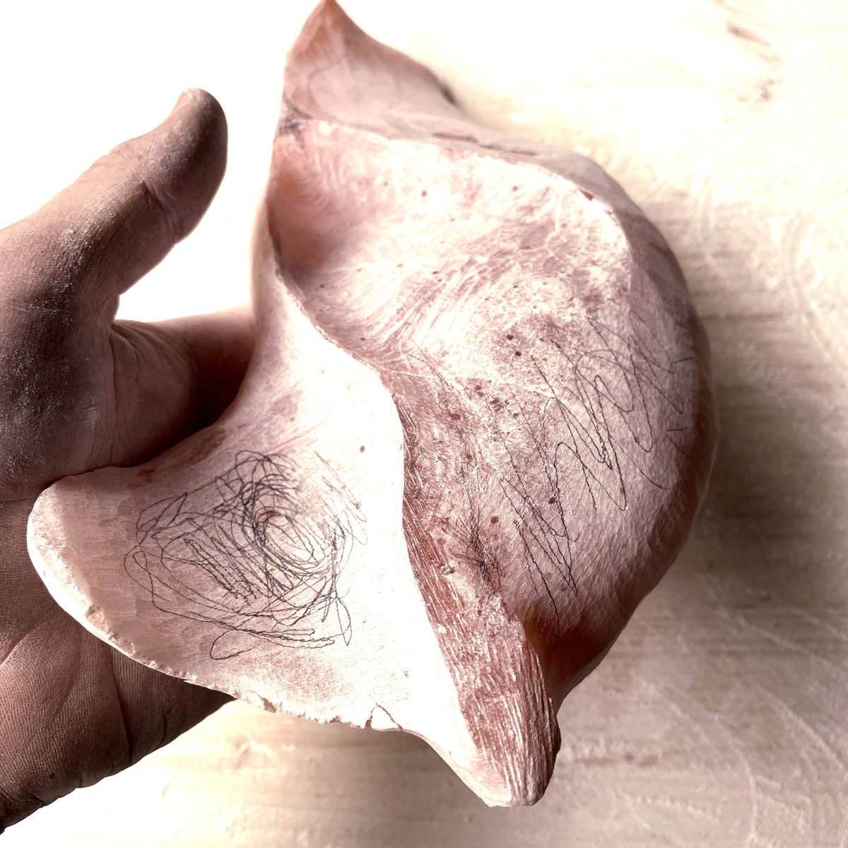 simone van olst tweet media