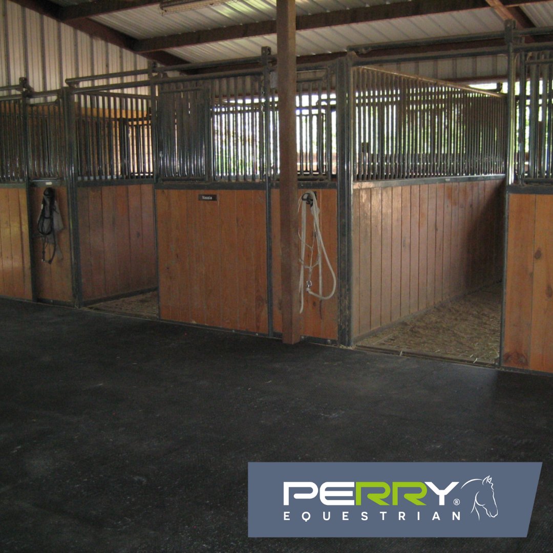 Perry Equestrian tweet media