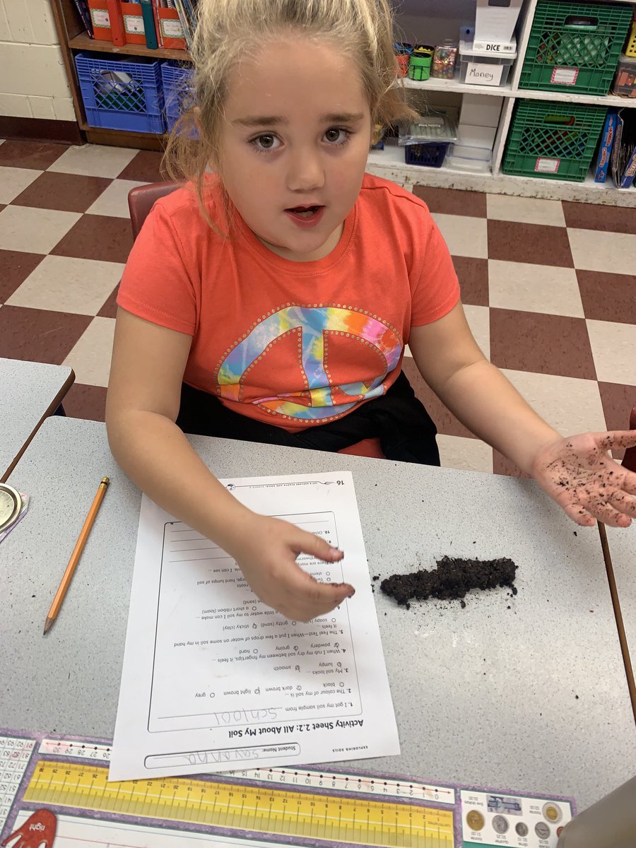 Shannon Taylor tweet media