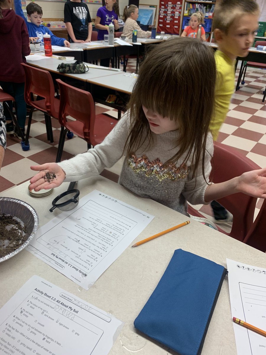 Shannon Taylor tweet media