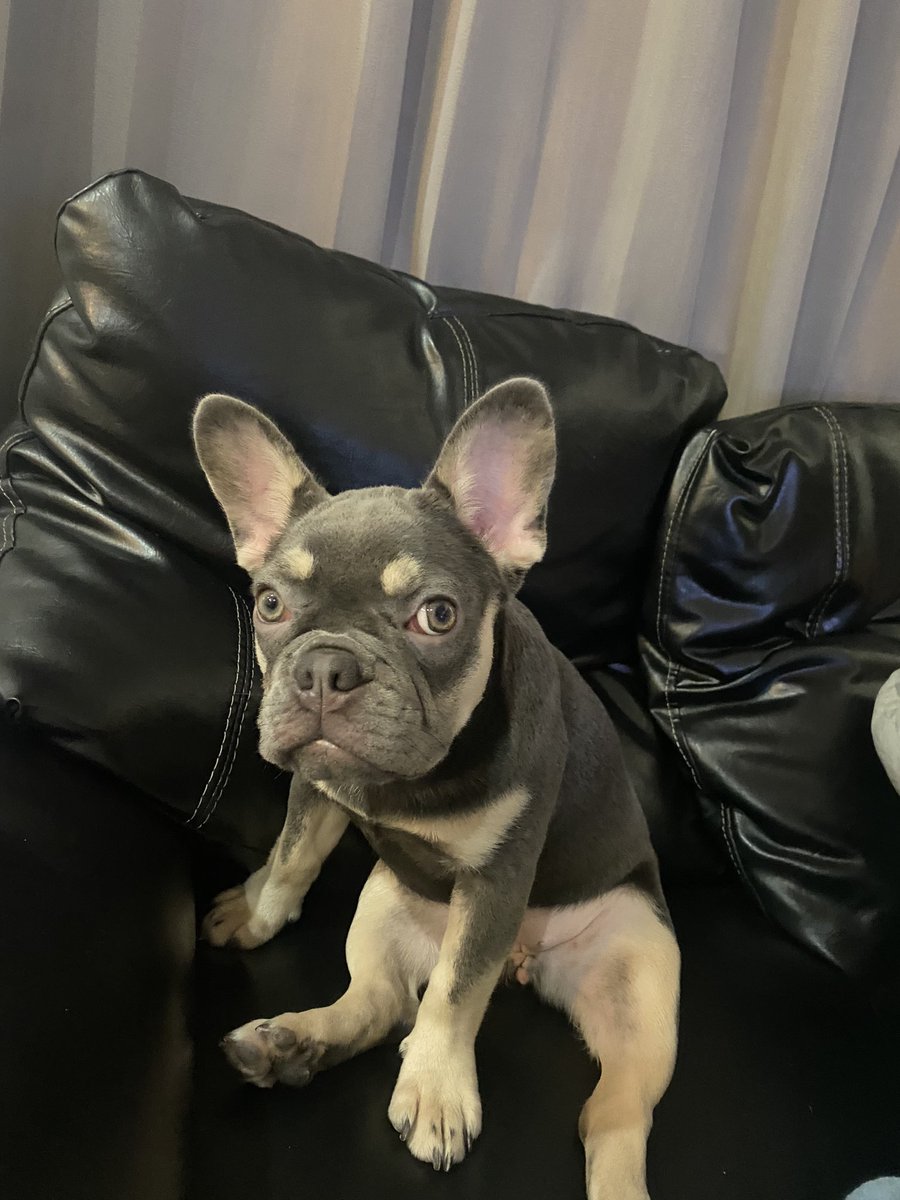 มี๊ๆเลิกเล่นสล็อตแล้วสนใจหนูก่อนนน 😂