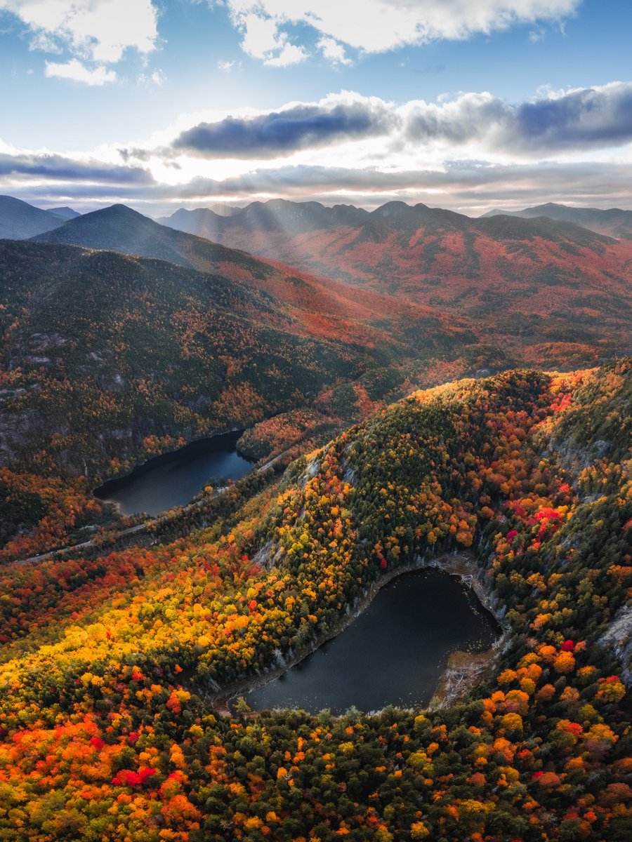 a photo i took in new york