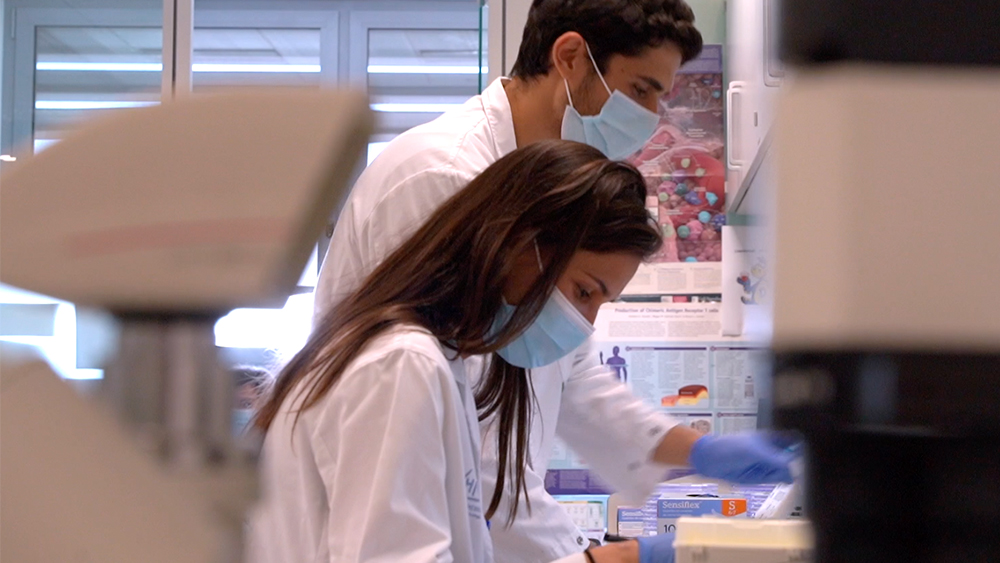 Investigadors del VHIO descobreixen com es desenvolupen diferents mecanismes de resistència en funció de les dianes emprades en els tractaments d'immunoteràpia. 

➕ bit.ly/VHIO-CEACAM5