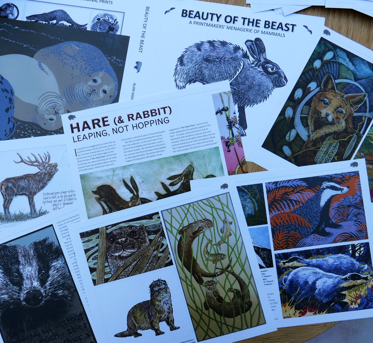 'Beauty of the Beast' has been printed and will be with us by the end of the month. Unbound pages shown here hint at the 450 images by 78 UK #printmakers of 36 British wild #mammal species. Made in #Norfolk, printed by <a href="/Swallowtailprin/">Swallowtail Print</a> and created by mascotmedia.co.uk