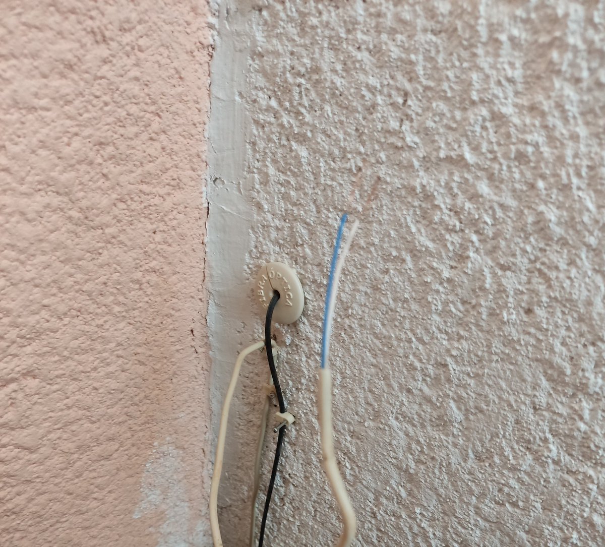 kαяlα яumαчoя tweet media